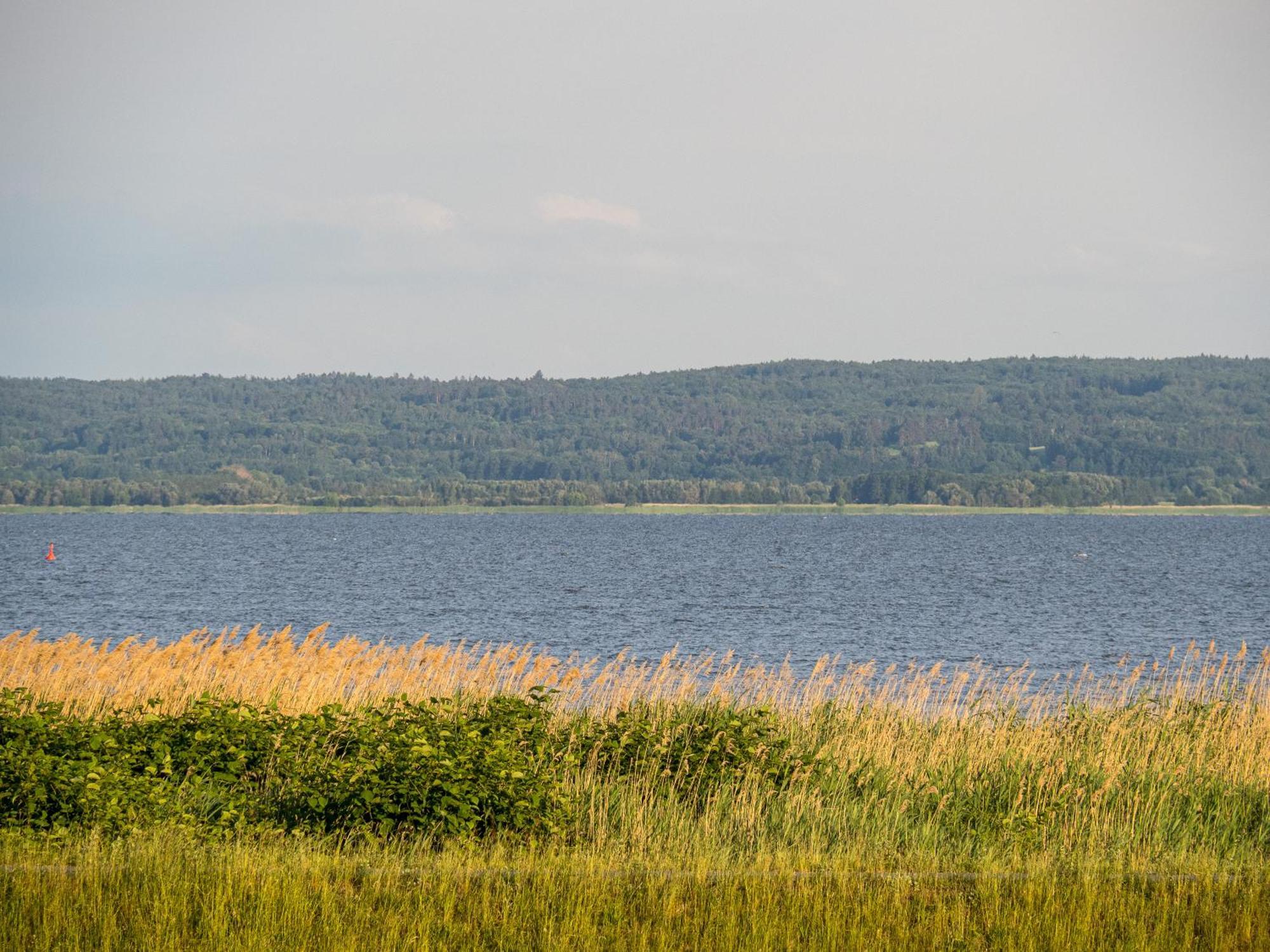 Willa Rejs Nad Zalewem # Pokoje Z Klimatyzacja Krynica Morska Exterior foto